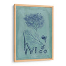 Índio Y Azure Seaweed Vi - Vision Studio | Cuadro decorativo de Canvas Lab