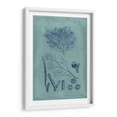 Índio Y Azure Seaweed Vi - Vision Studio | Cuadro decorativo de Canvas Lab