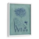 Índio Y Azure Seaweed Vi - Vision Studio | Cuadro decorativo de Canvas Lab
