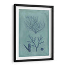 Índio Y Azure Seaweed Vii - Vision Studio | Cuadro decorativo de Canvas Lab