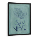 Índio Y Azure Seaweed Vii - Vision Studio | Cuadro decorativo de Canvas Lab