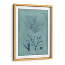 Índio Y Azure Seaweed Vii - Vision Studio | Cuadro decorativo de Canvas Lab