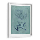 Índio Y Azure Seaweed Vii - Vision Studio | Cuadro decorativo de Canvas Lab