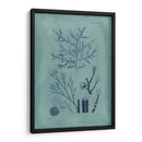 Índio Y Azure Seaweed Viii - Vision Studio | Cuadro decorativo de Canvas Lab