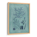 Índio Y Azure Seaweed Viii - Vision Studio | Cuadro decorativo de Canvas Lab