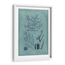 Índio Y Azure Seaweed Viii - Vision Studio | Cuadro decorativo de Canvas Lab