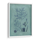 Índio Y Azure Seaweed Viii - Vision Studio | Cuadro decorativo de Canvas Lab