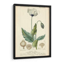 Estudio De Botanique En Lavender Ii - Turpin | Cuadro decorativo de Canvas Lab