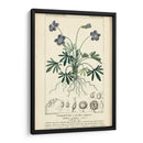 Estudio De Botanique En Lavender Iv - Turpin | Cuadro decorativo de Canvas Lab