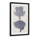 Ingio Sefans I - Vision Studio | Cuadro decorativo de Canvas Lab