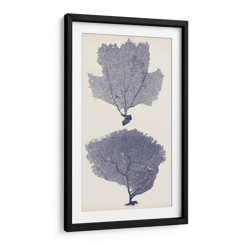 Ingio Sefans I - Vision Studio | Cuadro decorativo de Canvas Lab