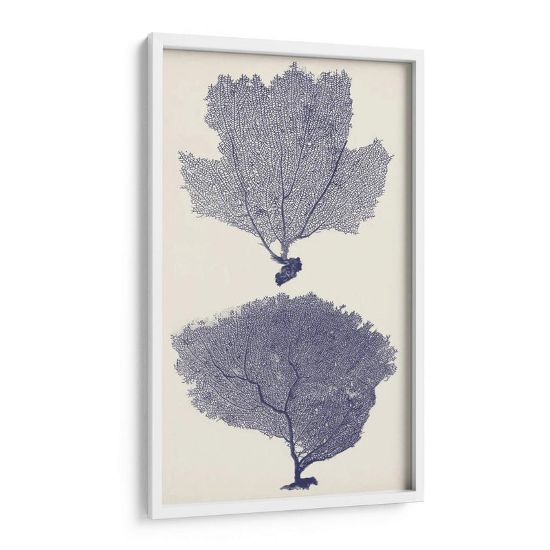 Ingio Sefans I - Vision Studio | Cuadro decorativo de Canvas Lab