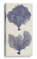 Seafans De Índigo Ii - Vision Studio | Cuadro decorativo de Canvas Lab