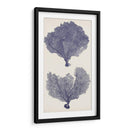 Seafans De Índigo Ii - Vision Studio | Cuadro decorativo de Canvas Lab