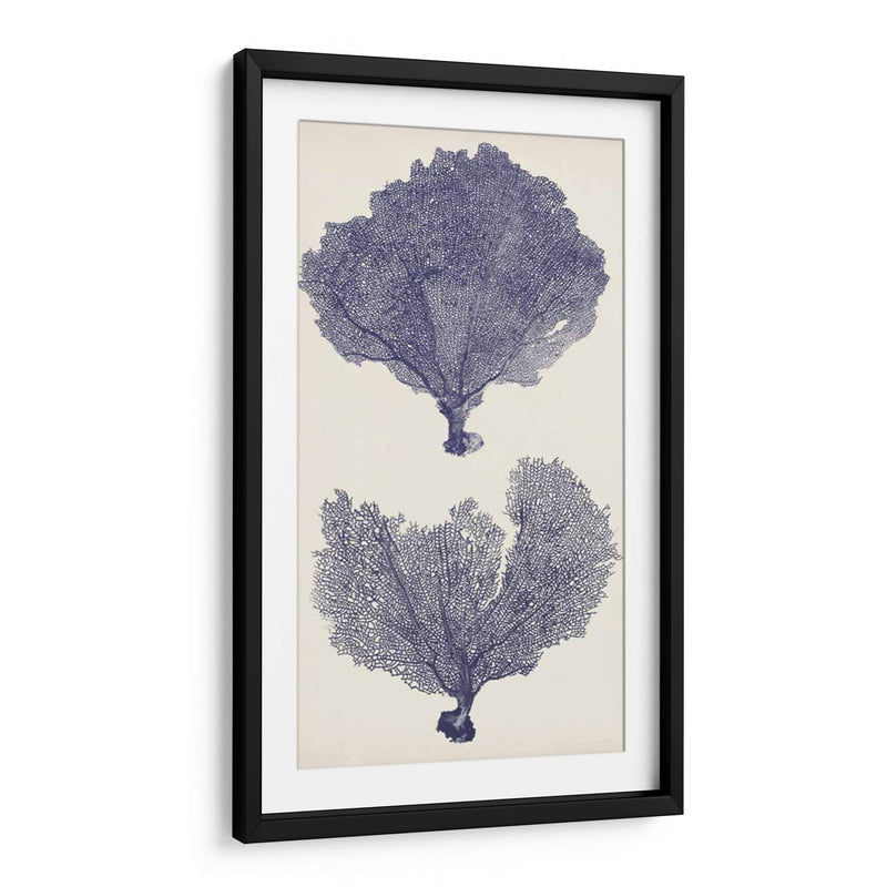 Seafans De Índigo Ii - Vision Studio | Cuadro decorativo de Canvas Lab