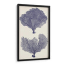 Seafans De Índigo Ii - Vision Studio | Cuadro decorativo de Canvas Lab