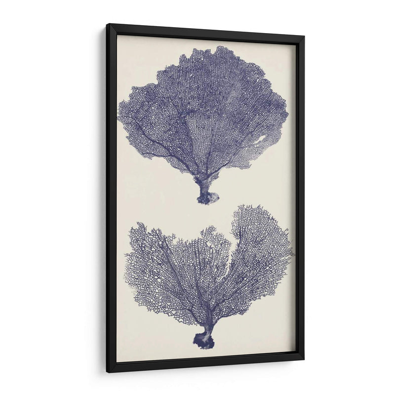 Seafans De Índigo Ii - Vision Studio | Cuadro decorativo de Canvas Lab