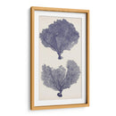 Seafans De Índigo Ii - Vision Studio | Cuadro decorativo de Canvas Lab