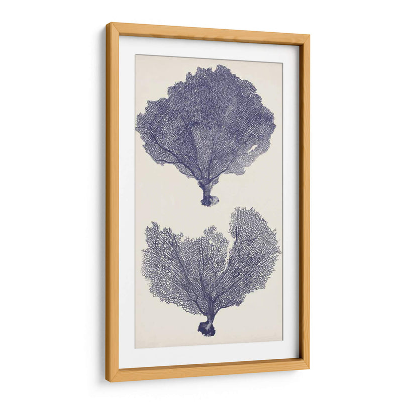 Seafans De Índigo Ii - Vision Studio | Cuadro decorativo de Canvas Lab