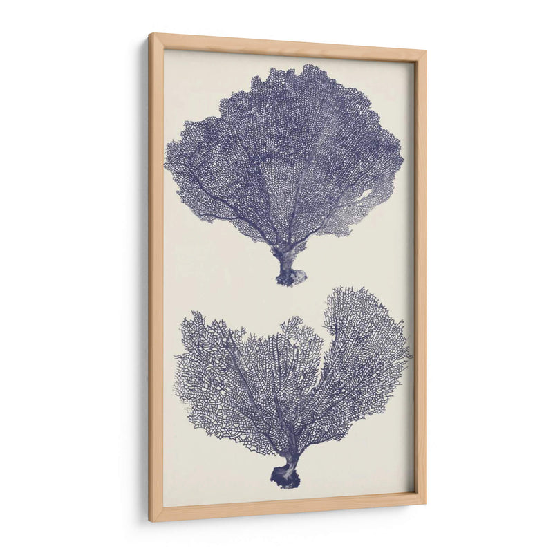 Seafans De Índigo Ii - Vision Studio | Cuadro decorativo de Canvas Lab
