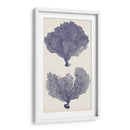 Seafans De Índigo Ii - Vision Studio | Cuadro decorativo de Canvas Lab