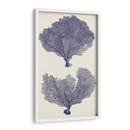 Seafans De Índigo Ii - Vision Studio | Cuadro decorativo de Canvas Lab