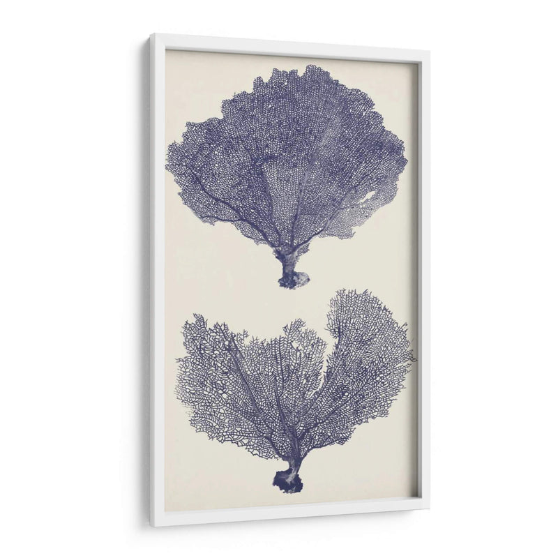 Seafans De Índigo Ii - Vision Studio | Cuadro decorativo de Canvas Lab