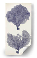 Seafans De Índigo Ii - Vision Studio | Cuadro decorativo de Canvas Lab