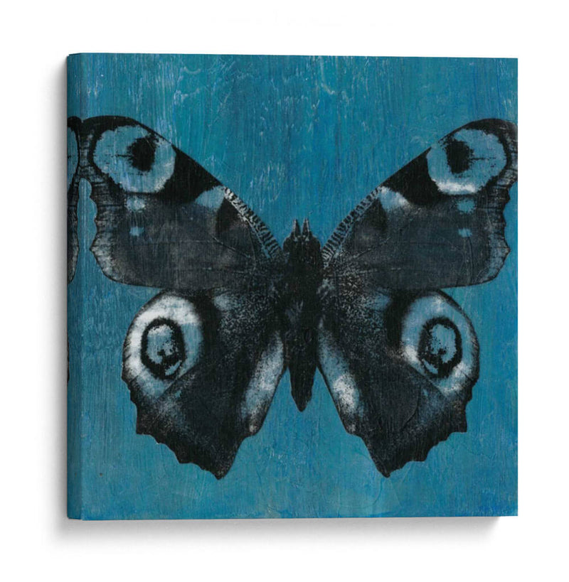 Mariposas Chambray I - Naomi McCavitt | Cuadro decorativo de Canvas Lab