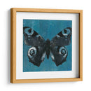 Mariposas Chambray I - Naomi McCavitt | Cuadro decorativo de Canvas Lab