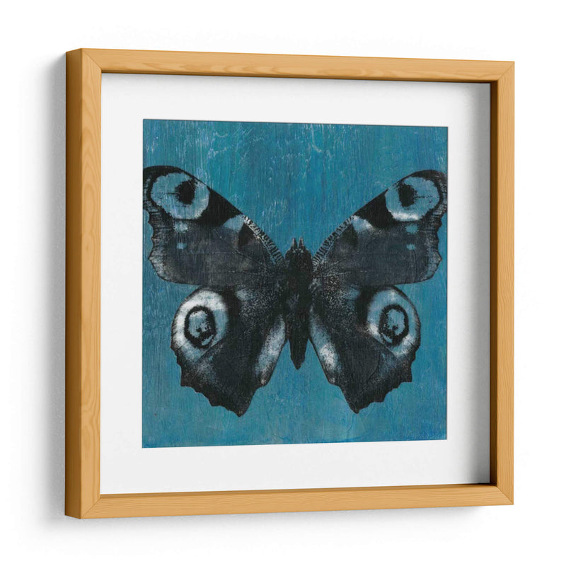 Mariposas Chambray I - Naomi McCavitt | Cuadro decorativo de Canvas Lab
