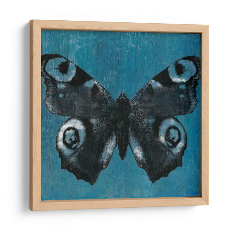 Mariposas Chambray I - Naomi McCavitt | Cuadro decorativo de Canvas Lab