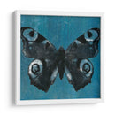 Mariposas Chambray I - Naomi McCavitt | Cuadro decorativo de Canvas Lab