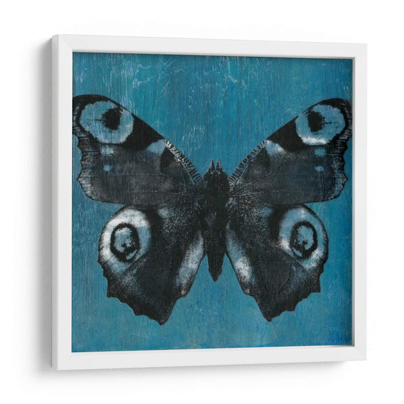 Mariposas Chambray I - Naomi McCavitt | Cuadro decorativo de Canvas Lab