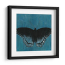 Mariposas Chambray Ii - Naomi McCavitt | Cuadro decorativo de Canvas Lab