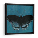 Mariposas Chambray Ii - Naomi McCavitt | Cuadro decorativo de Canvas Lab