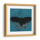 Mariposas Chambray Ii - Naomi McCavitt | Cuadro decorativo de Canvas Lab