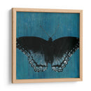 Mariposas Chambray Ii - Naomi McCavitt | Cuadro decorativo de Canvas Lab