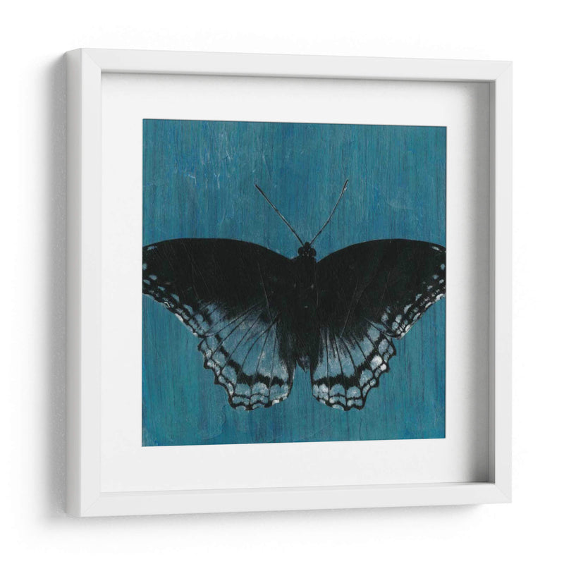 Mariposas Chambray Ii - Naomi McCavitt | Cuadro decorativo de Canvas Lab