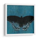 Mariposas Chambray Ii - Naomi McCavitt | Cuadro decorativo de Canvas Lab
