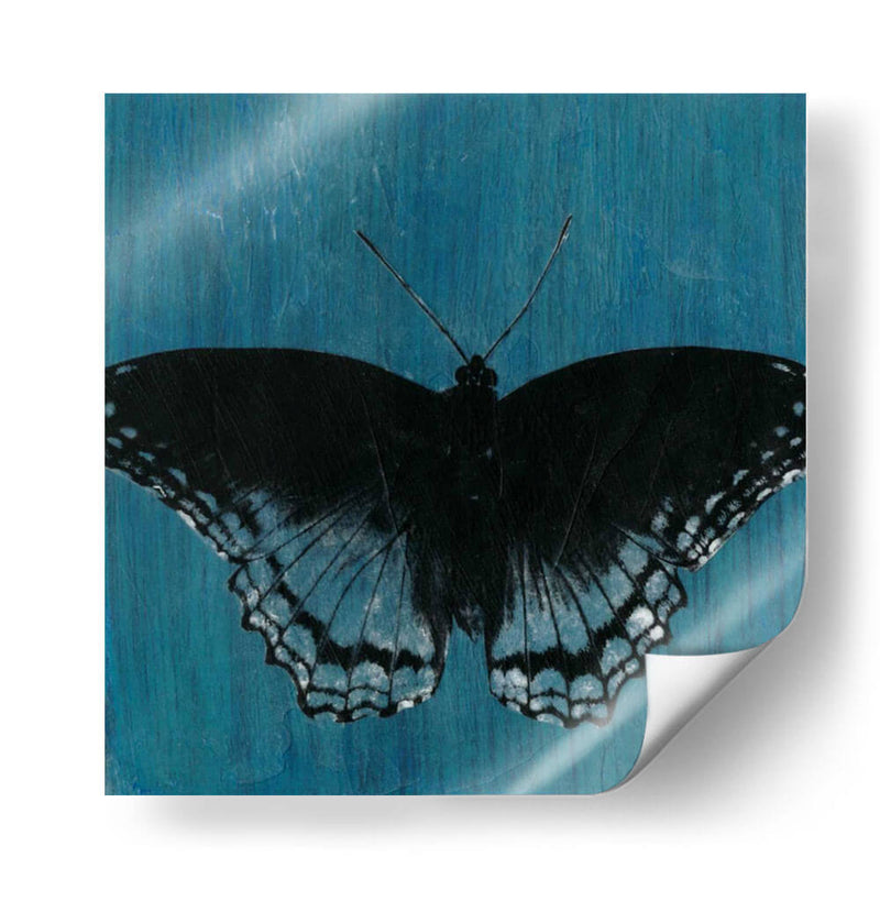 Mariposas Chambray Ii - Naomi McCavitt | Cuadro decorativo de Canvas Lab