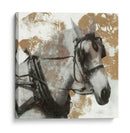 Conducir Caballos Ii - Naomi McCavitt | Cuadro decorativo de Canvas Lab