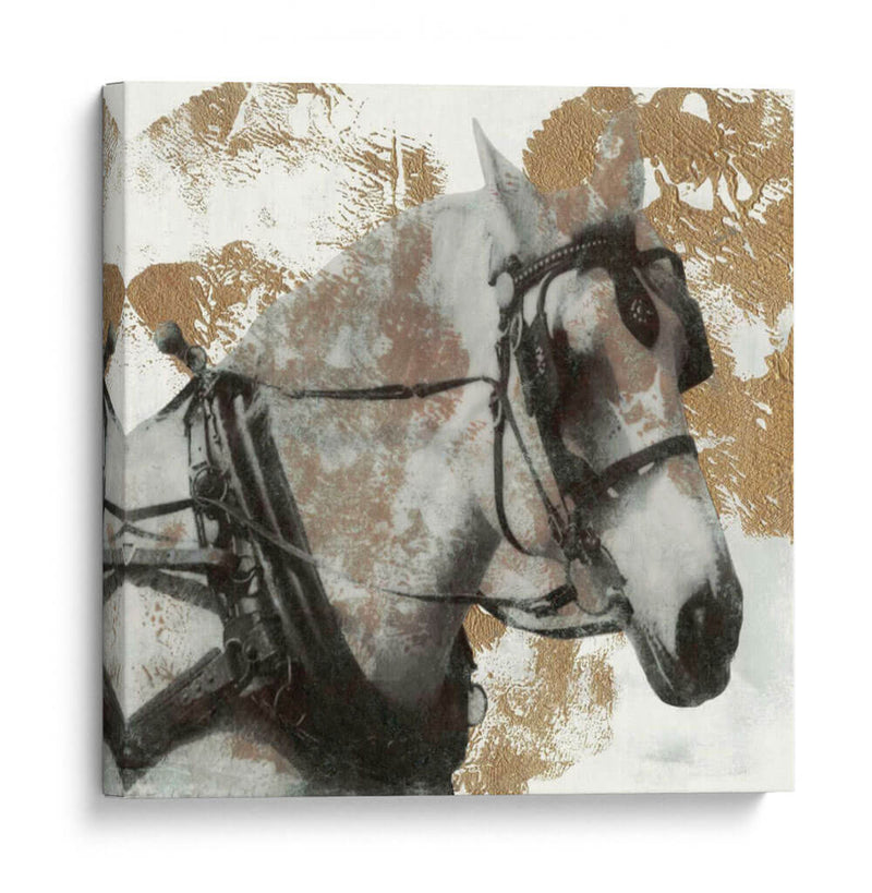 Conducir Caballos Ii - Naomi McCavitt | Cuadro decorativo de Canvas Lab