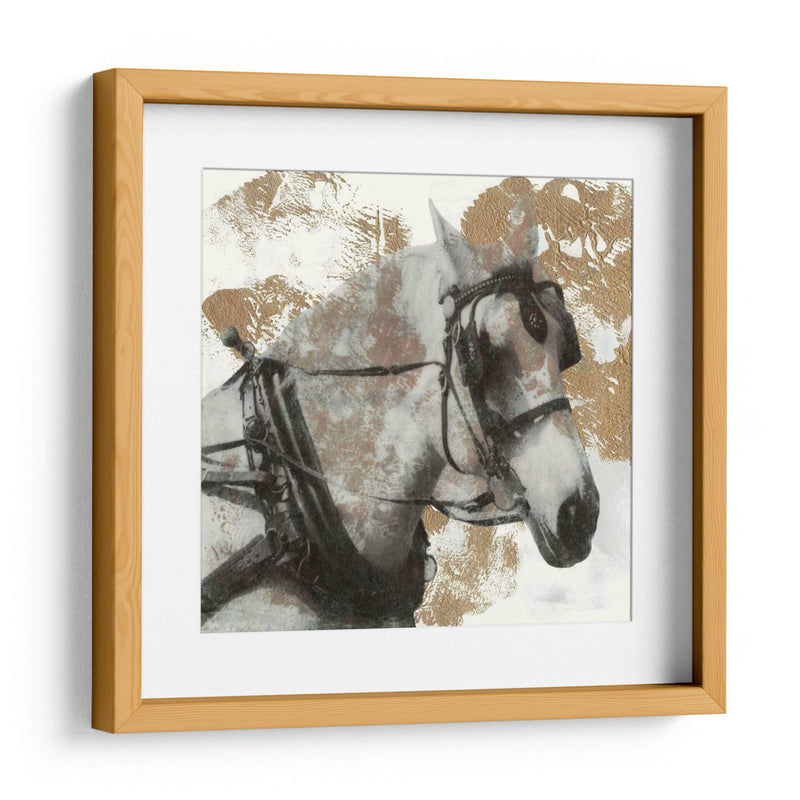 Conducir Caballos Ii - Naomi McCavitt | Cuadro decorativo de Canvas Lab