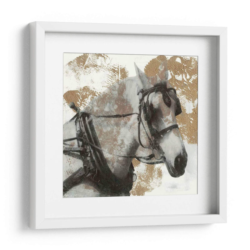 Conducir Caballos Ii - Naomi McCavitt | Cuadro decorativo de Canvas Lab