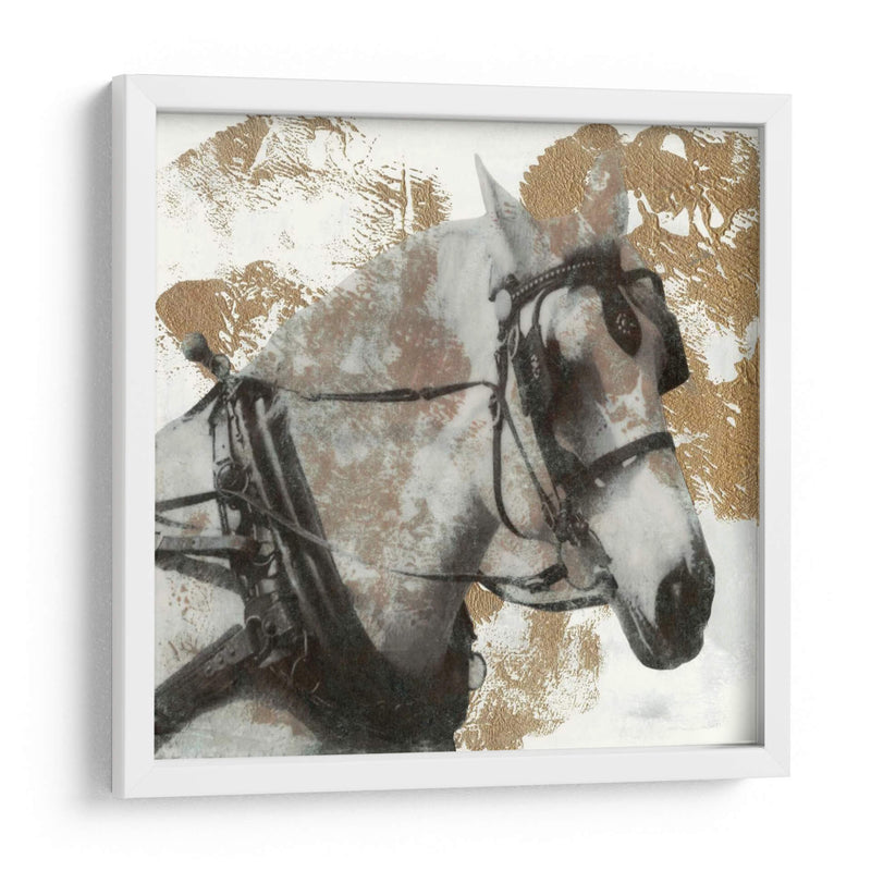 Conducir Caballos Ii - Naomi McCavitt | Cuadro decorativo de Canvas Lab