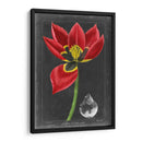 Tulipán De Medianoche Ii - Vision Studio | Cuadro decorativo de Canvas Lab