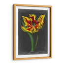 Tulipán De Medianoche Iii - Vision Studio | Cuadro decorativo de Canvas Lab