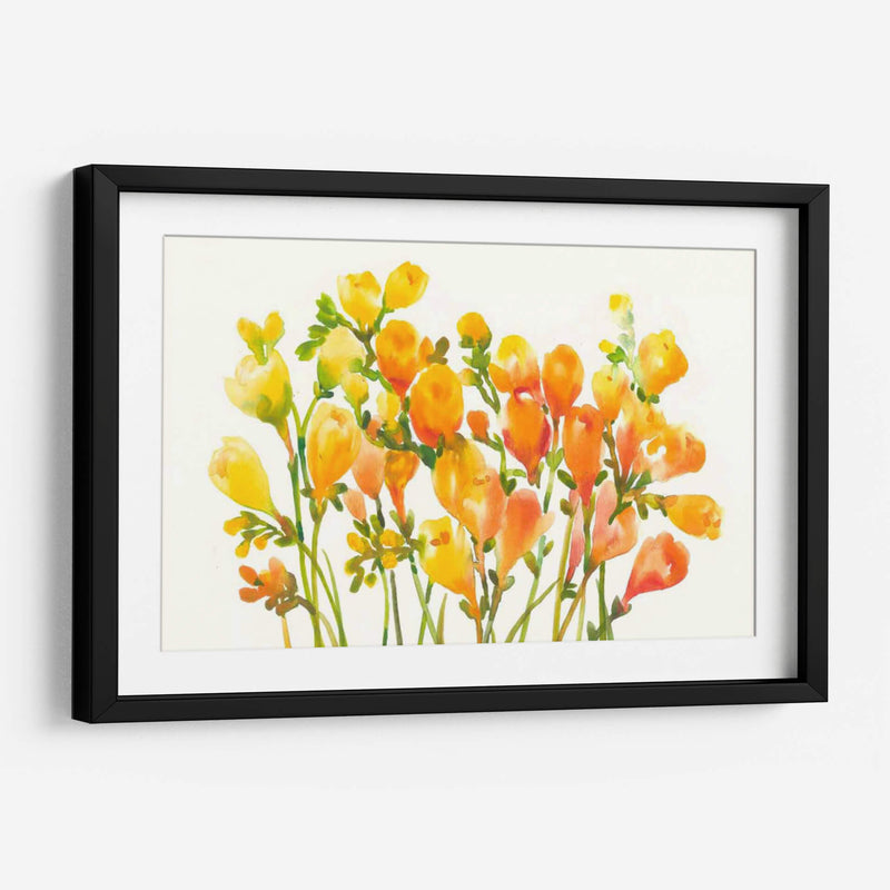 Freesia I - Tim OToole | Cuadro decorativo de Canvas Lab