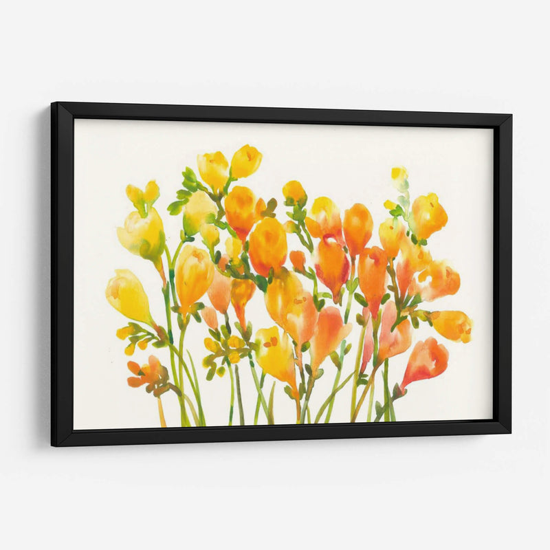 Freesia I - Tim OToole | Cuadro decorativo de Canvas Lab